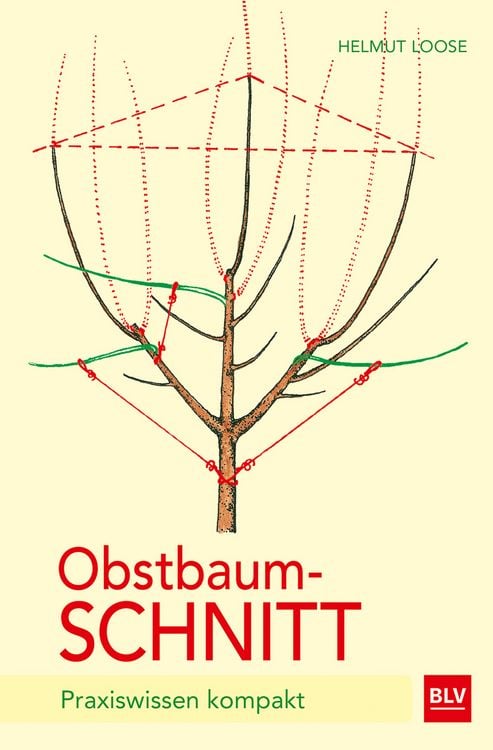 Produktbild: Obstbaumschnitt