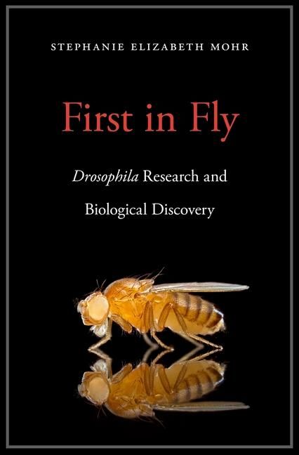Produktbild: First in Fly