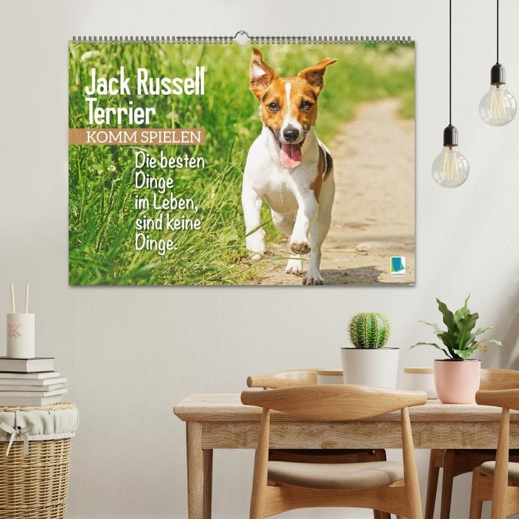 Produktbild: Jack Russell Terrier: Komm spielen (Wandkalender 2026 DIN A2 quer), CALVENDO Monatskalender
