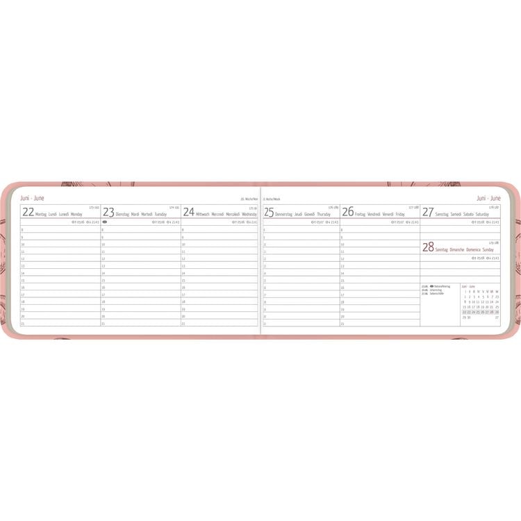 Produktbild: Ladytimer TO GO Deluxe Salmon 2026 - Taschen-Kalender 15,3x8,7 cm - Tucson Einband - mit Motivprägung - Weekly - 128 Seiten - Alpha Edition