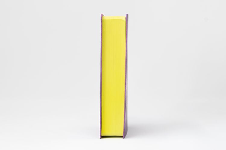 Produktbild: Die Bibel. Senfkorn, Handschmeichler lila