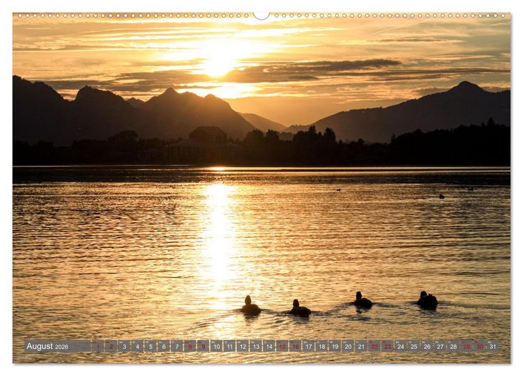 Produktbild: Ostallg&auml;u - Zwischen Aggenstein und Forggensee (Wandkalender 2026 DIN A2 quer), CALVENDO Monatskalender