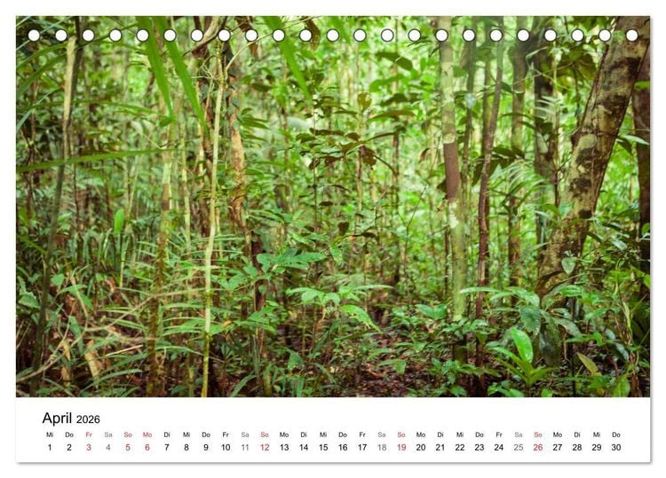 Produktbild: Mythos Amazonas - Naturparadies Brasiliens (Tischkalender 2026 DIN A5 quer), CALVENDO Monatskalender