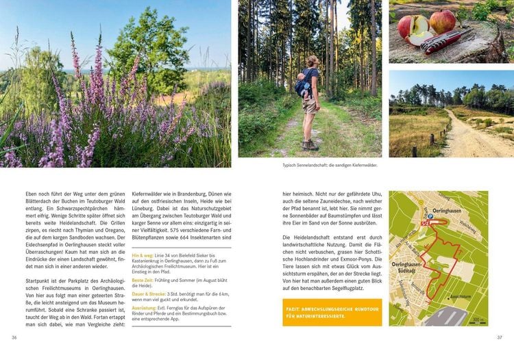 Produktbild: 52 kleine & gro&szlig;e Eskapaden in Ostwestfalen-Lippe