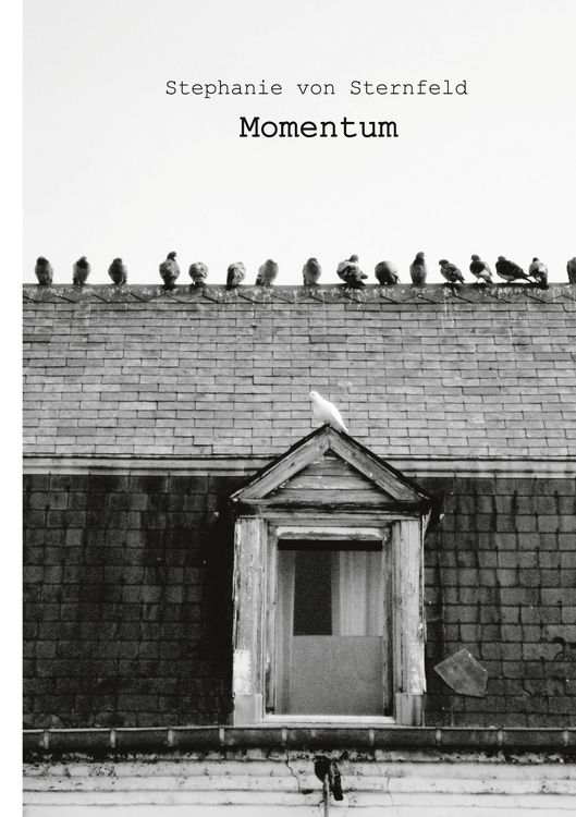 Produktbild: Momentum