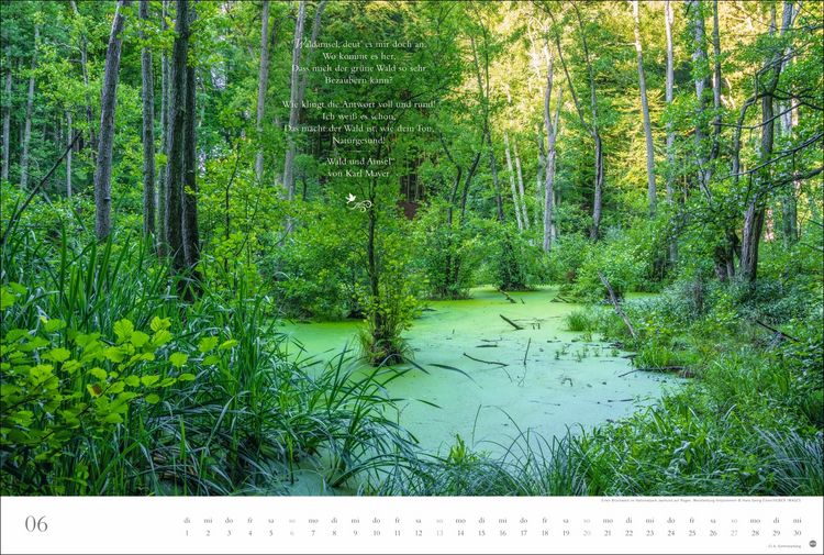 Produktbild: Der deutsche Wald - Ein literarischer Spaziergang Kalender 2027 - Ein literarischer Spaziergang