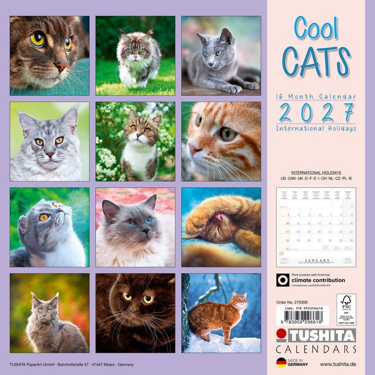 Produktbild: Cool Cats 2027