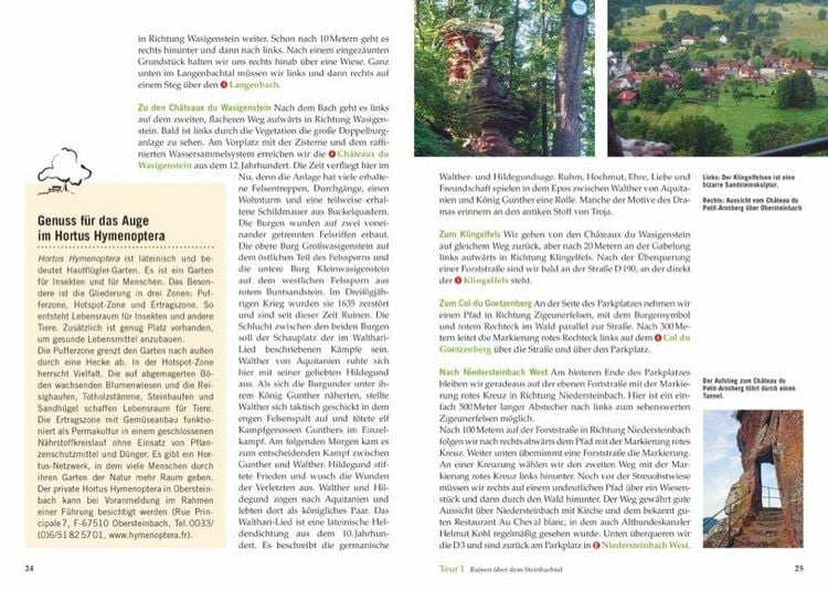 Produktbild: Wandergenuss Elsass und Vogesen