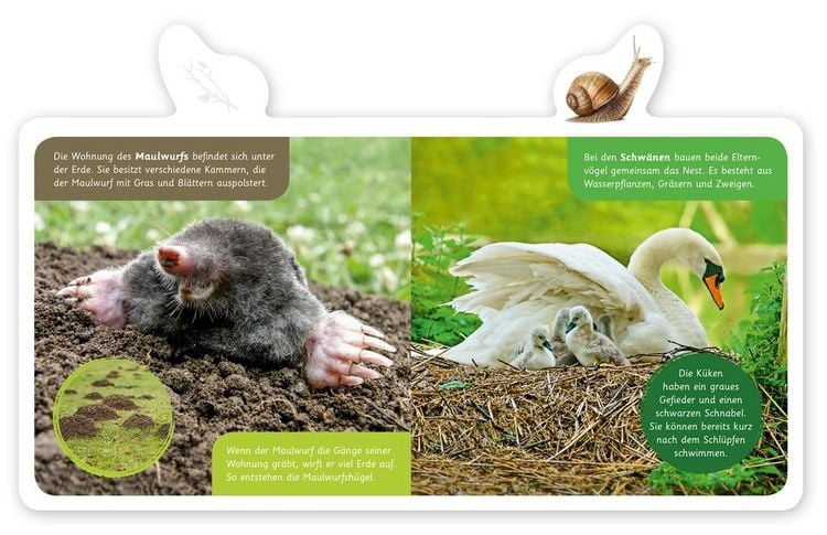 Produktbild: Wo wohnen Tiere?