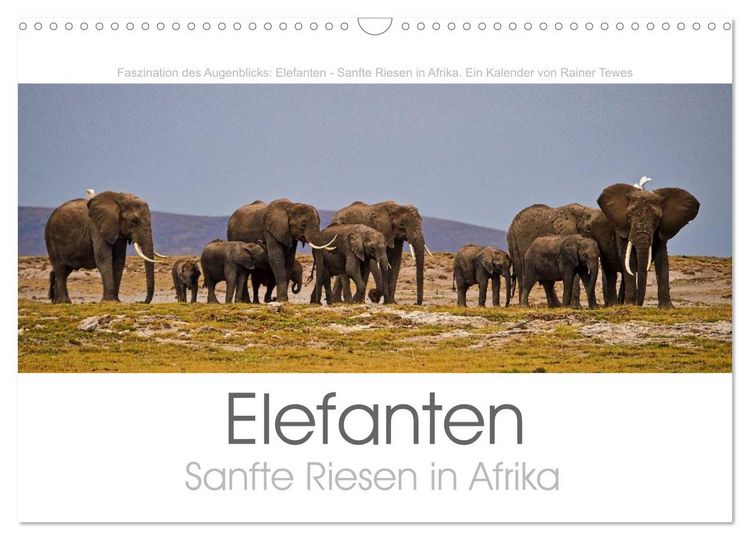 Produktbild: Elefanten - Sanfte Riesen in Afrika (Wandkalender 2026 DIN A3 quer), CALVENDO Monatskalender