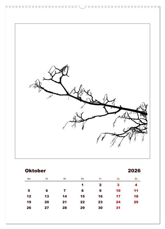 Produktbild: LignoGrafica - Muster und Strukturen der B&auml;ume (Wandkalender 2026 DIN A2 hoch), CALVENDO Monatskalender