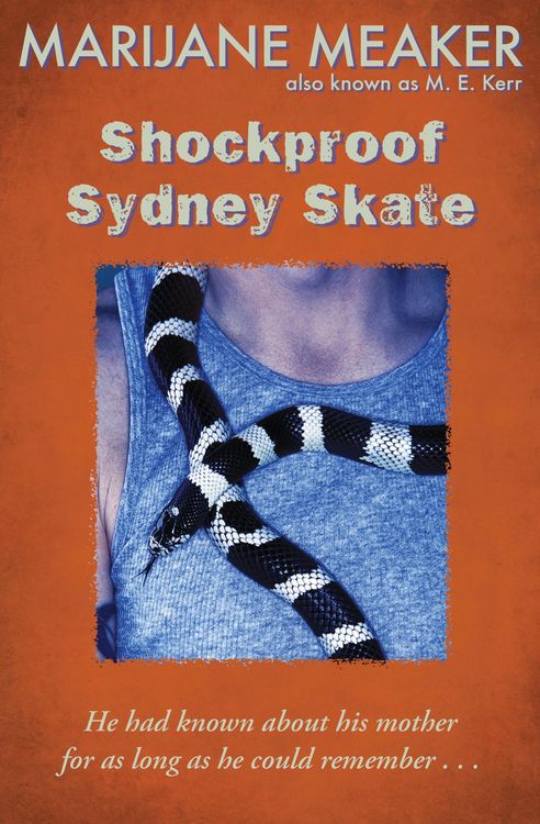 Produktbild: Shockproof Sydney Skate
