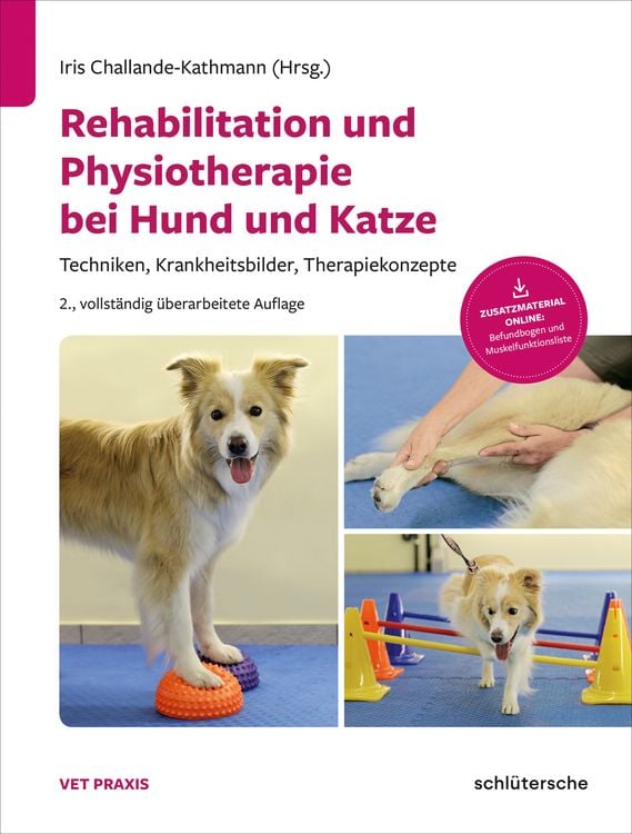 Produktbild: Rehabilitation und Physiotherapie bei Hund und Katze