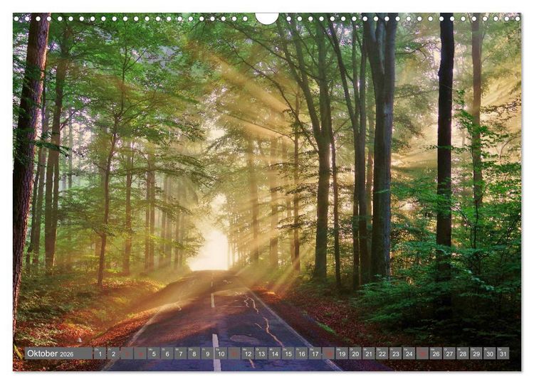 Produktbild: Zauberhafte Schwalm (Wandkalender 2026 DIN A3 quer), CALVENDO Monatskalender