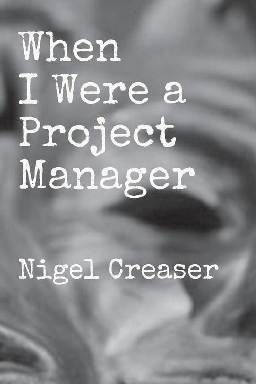 Produktbild: When I Were a Project Manager