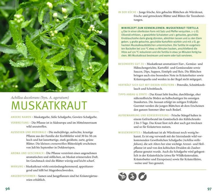 Produktbild: Kräuter