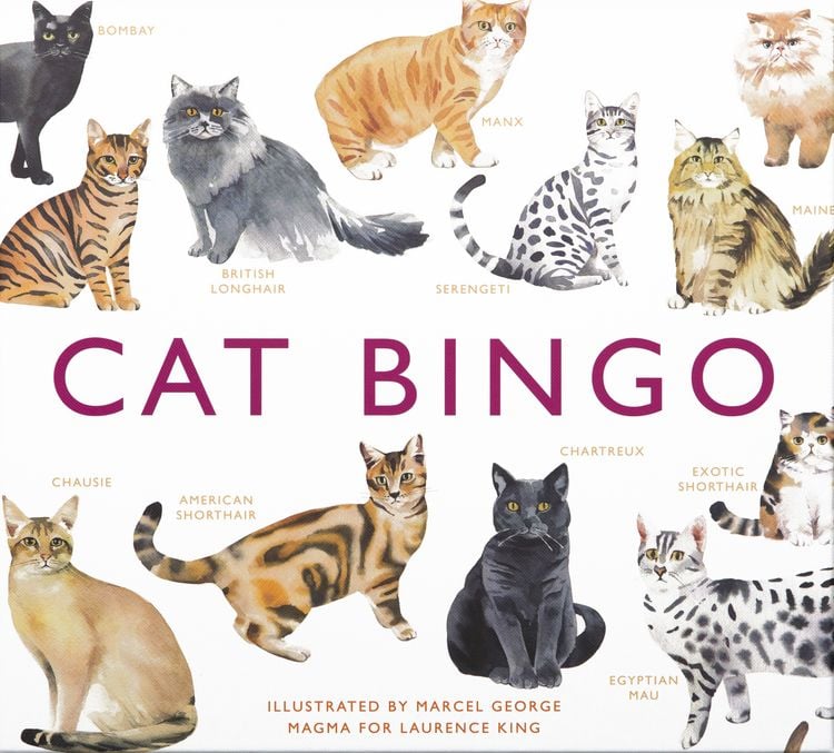 Produktbild: Cat Bingo