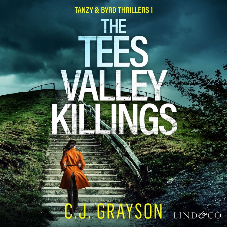 Produktbild: The Tees Valley Killings