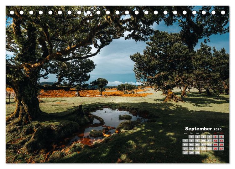 Produktbild: Madeira Island - Portugal (Desk Calendar 2026 DIN A5 landscape), CALVENDO 12 Month DeskCalendar