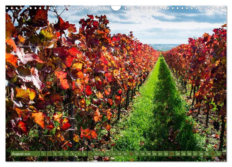 Produktbild: Wein - Landschaften (Wandkalender 2026 DIN A3 quer), CALVENDO Monatskalender