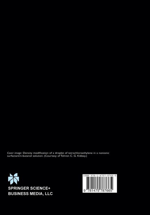 Produktbild: Physicochemical Groundwater Remediation
