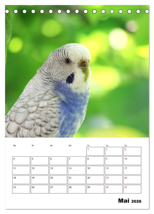 Produktbild: Wellensittichkalender Jubil&auml;umsedition - 10 Jahre Wellensittichkalender! (Tischkalender 2026 DIN A5 hoch), CALVENDO Monatskalender