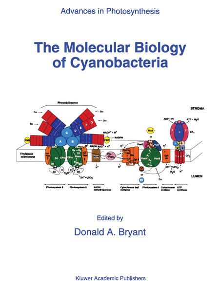 Produktbild: The Molecular Biology of Cyanobacteria