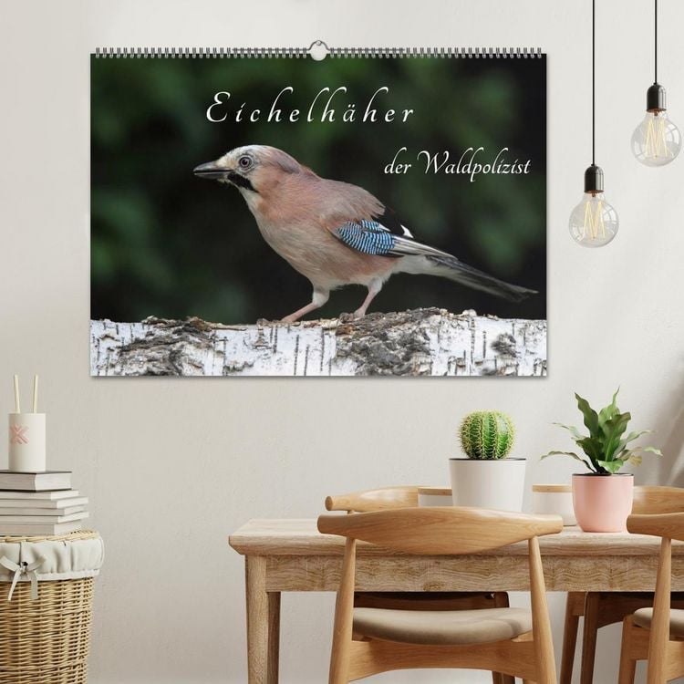 Produktbild: Eichelh&auml;her der Waldpolizist (Wandkalender 2026 DIN A2 quer), CALVENDO Monatskalender