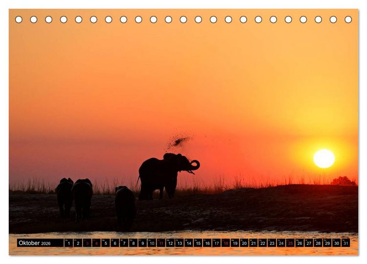 Produktbild: Magie des Augenblicks - Elefanten - Afrikas sanfte Riesen (Tischkalender 2026 DIN A5 quer), CALVENDO Monatskalender