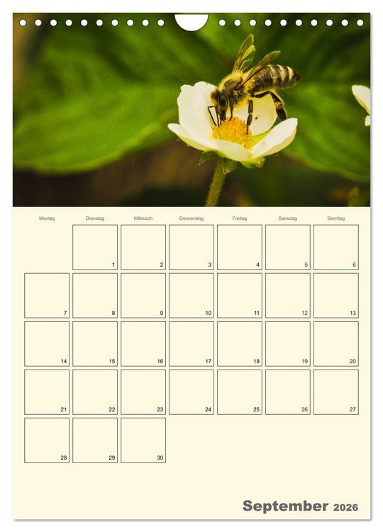 Produktbild: Bienen im Naturgarten (Wandkalender 2026 DIN A4 hoch), CALVENDO Monatskalender