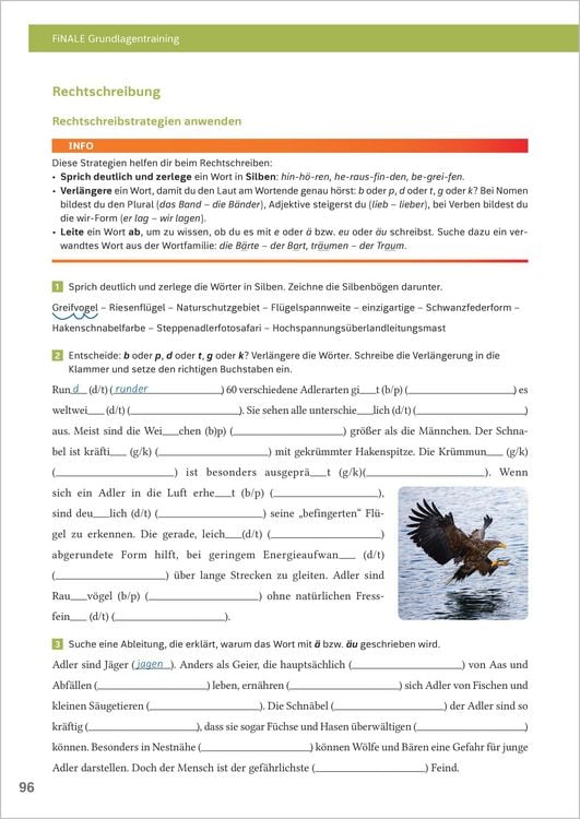 Produktbild: FiNALE Grundlagentraining &ndash; Hauptschulabschluss, Mittlerer Schulabschluss
