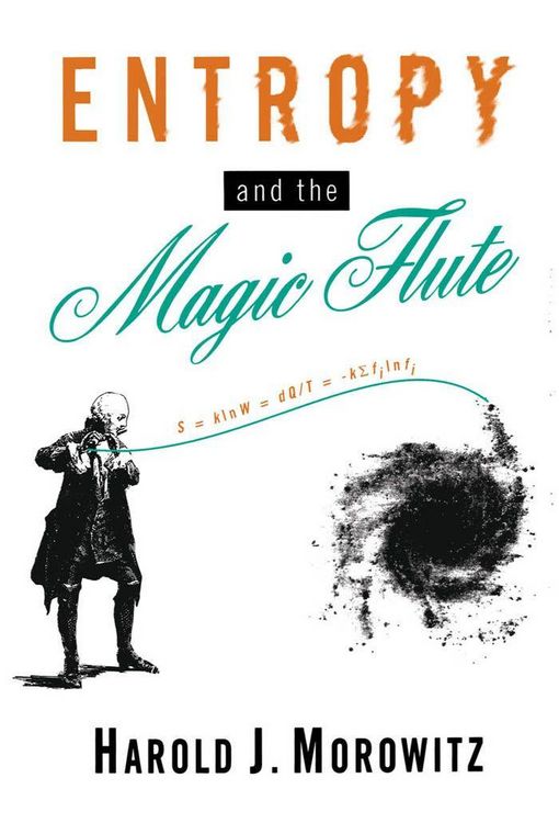 Produktbild: Entropy and the Magic Flute