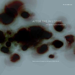 Produktbild: After the Wildfire