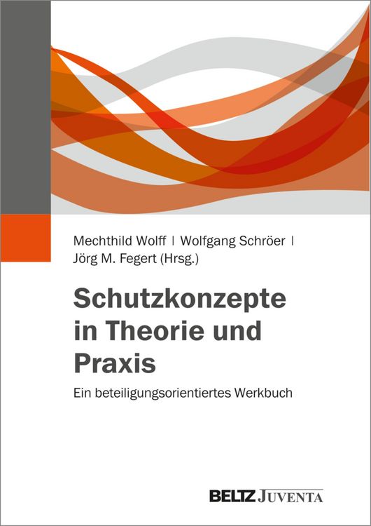 Produktbild: Schutzkonzepte in Theorie und Praxis