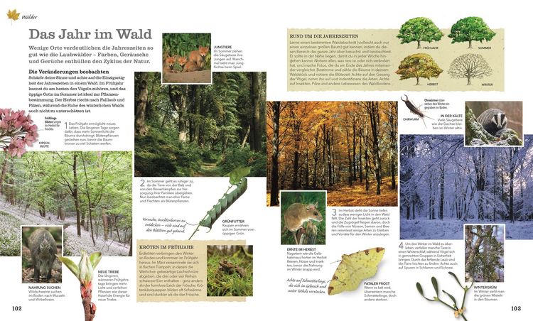 Produktbild: Der Naturf&uuml;hrer f&uuml;r die ganze Familie