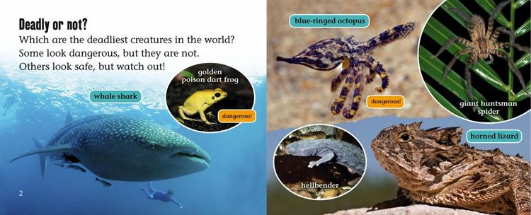 Produktbild: World's Deadliest Creatures