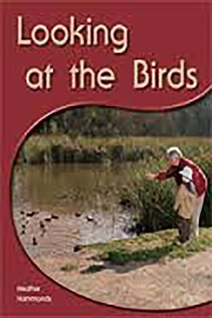 Produktbild: Looking at the Birds