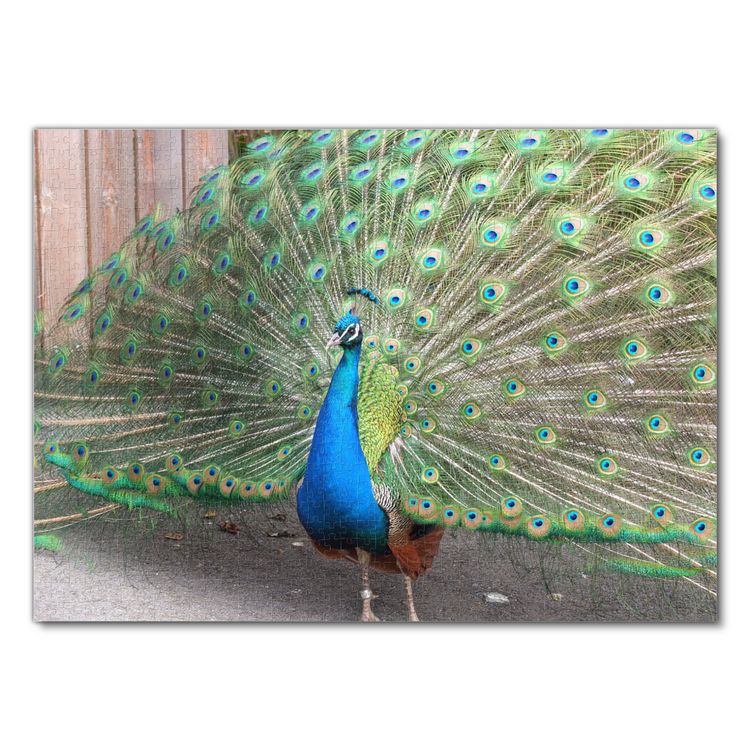 Produktbild: Lais Puzzle Pfau 1000 Teile