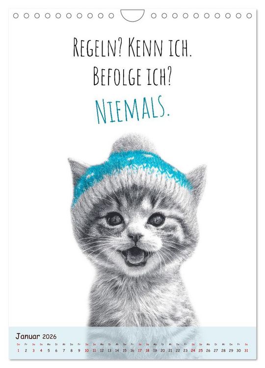 Produktbild: Katzenkult - Coolness auf vier Pfoten (Wandkalender 2026 DIN A4 hoch), CALVENDO Monatskalender