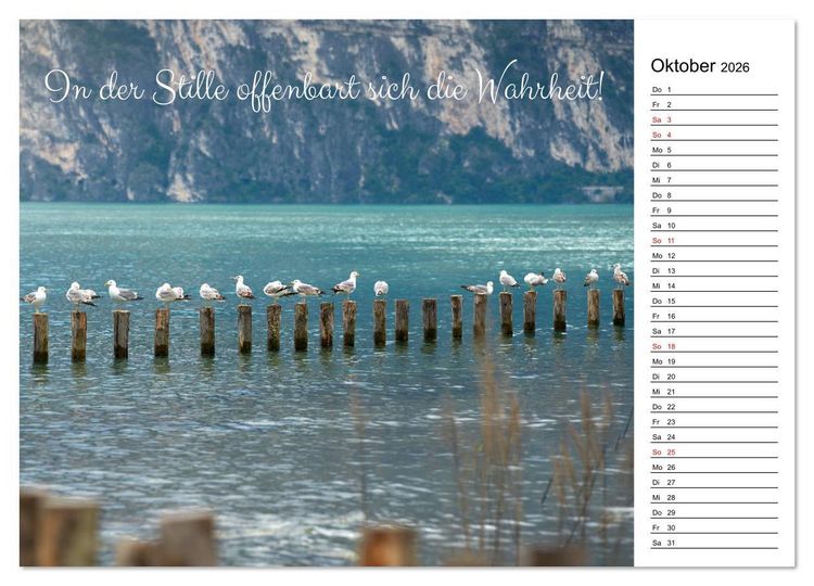 Produktbild: Lebensweisheiten der M&ouml;we - Im Flug des Lebens (hochwertiger Premium Wandkalender 2026 DIN A2 quer), Kunstdruck in Hochglanz