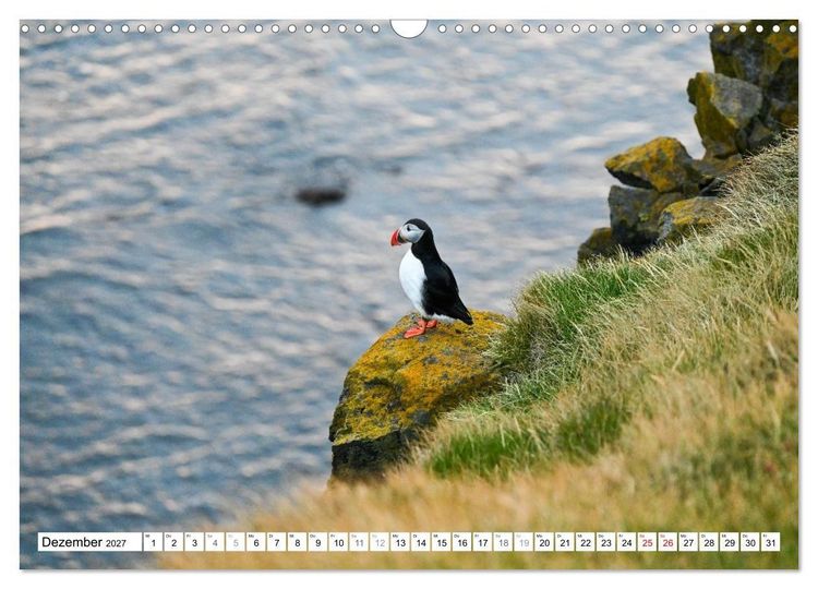 Produktbild: Islands Papageientaucher (Wandkalender 2027 DIN A3 quer), CALVENDO Monatskalender