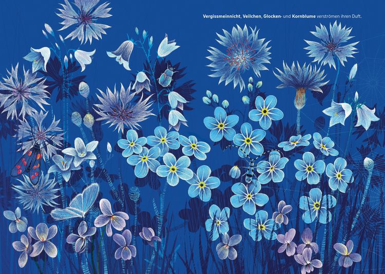 Produktbild: Die Blaue Stunde