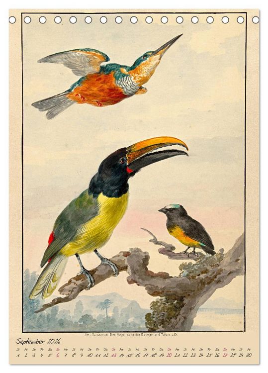 Produktbild: Aert Schouman. V&Ouml;GEL (Tischkalender 2026 DIN A5 hoch), CALVENDO Monatskalender