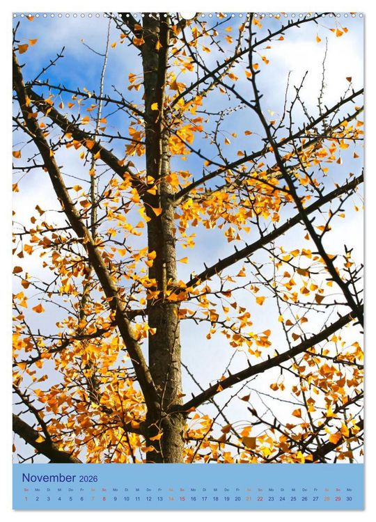 Produktbild: Ginkgo (hochwertiger Premium Wandkalender 2026 DIN A2 hoch), Kunstdruck in Hochglanz