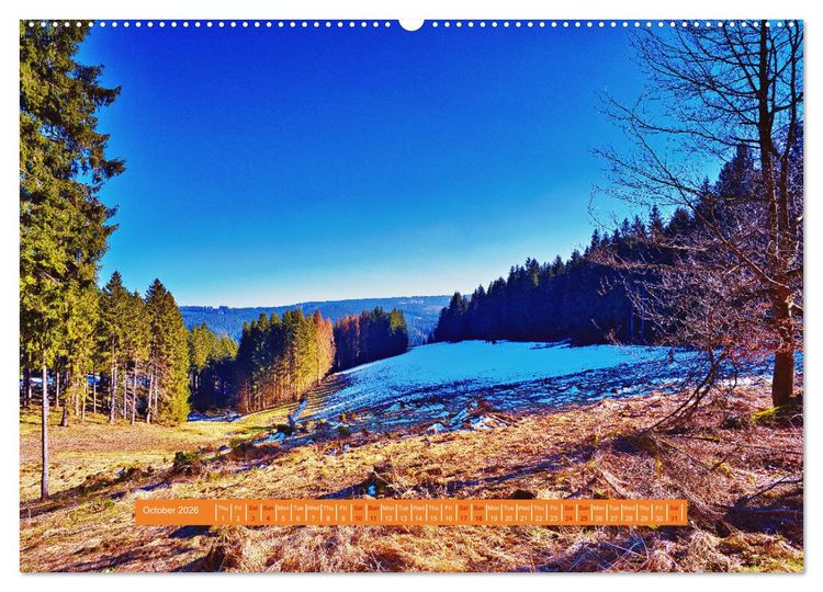 Produktbild: Unique Thuringian Forest (High Quality Premium Wall Calendar 2026 DIN A2 landscape),CALVENDO 12 Month Wall Calendar