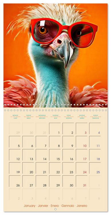 Produktbild: I see you - Animals with glasses (Wall Calendar 2026 12 &times; 12 Inch) CALVENDO 12 Month Wall Calendar