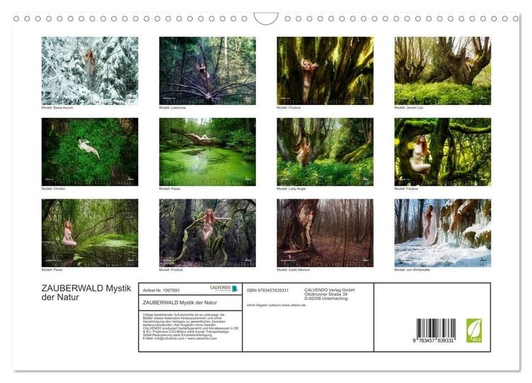Produktbild: ZAUBERWALD Mystik der Natur (Wandkalender 2026 DIN A3 quer), CALVENDO Monatskalender