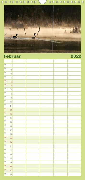 Produktbild: KANADA-GANS - Der 'hupende' Vogel - Familienplaner hoch (Wandkalender 2022 , 21 cm x 45 cm, hoch)