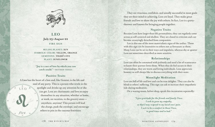 Produktbild: The Witch's Way
