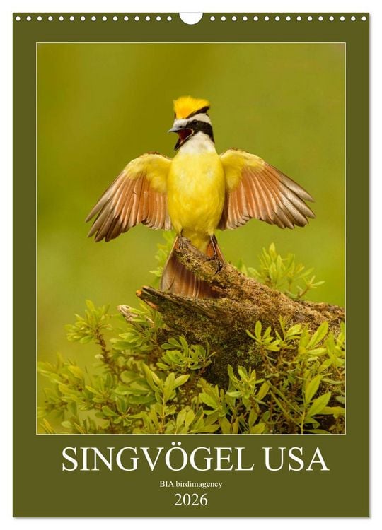 Produktbild: Singv&ouml;gel USA (Wandkalender 2026 DIN A3 hoch), CALVENDO Monatskalender